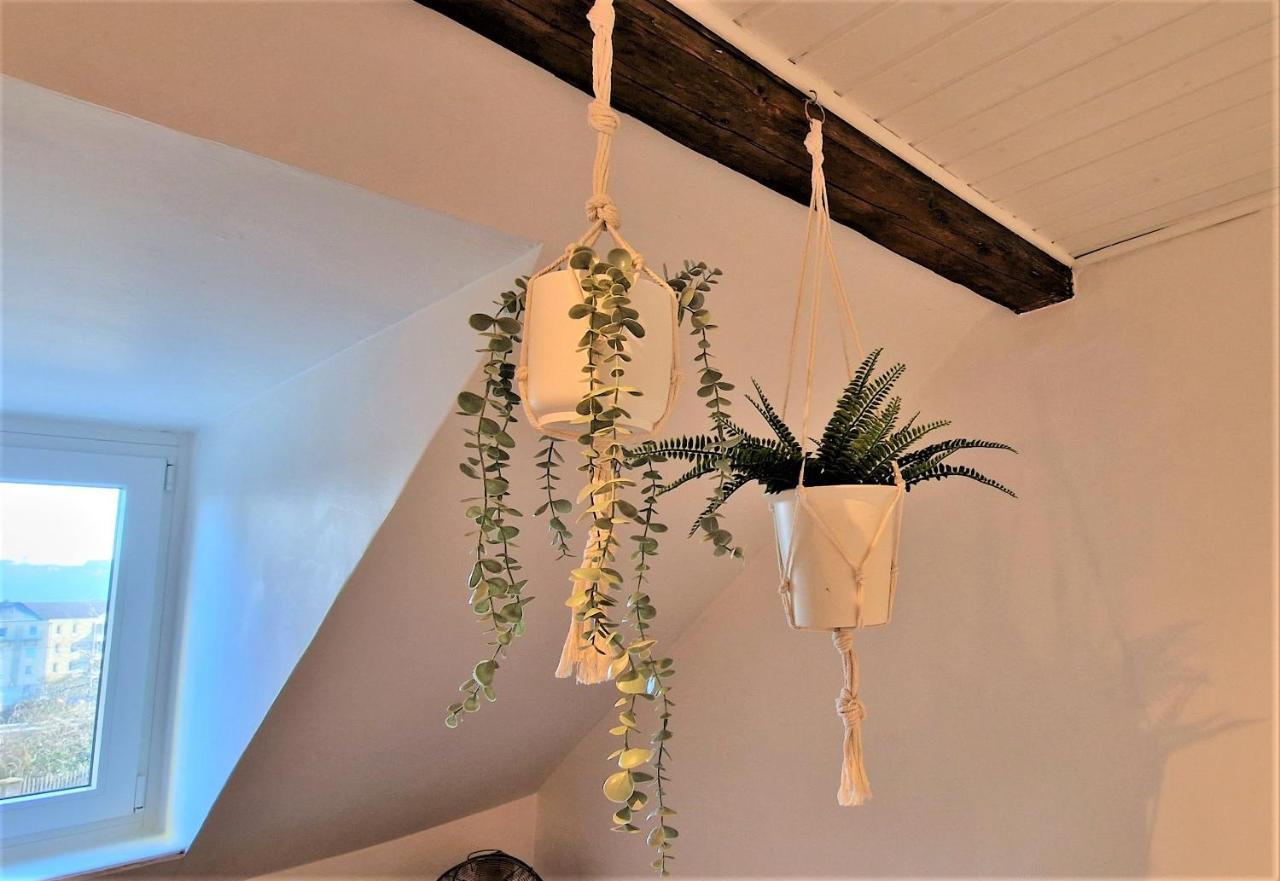 Liebenswertes Apartment 10 Minuten Zur Altstadt Κόμπλεντς Εξωτερικό φωτογραφία